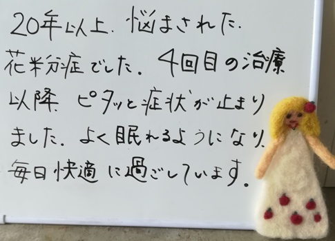 鍼灸の感想りんごの鍼灸