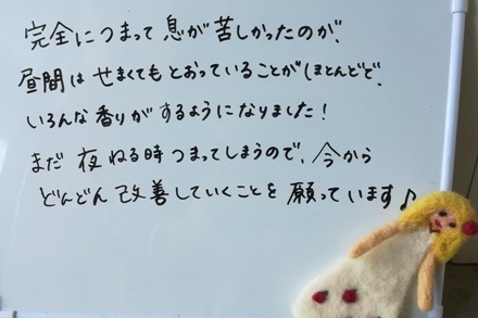 鍼灸花粉症の感想りんごの鍼灸