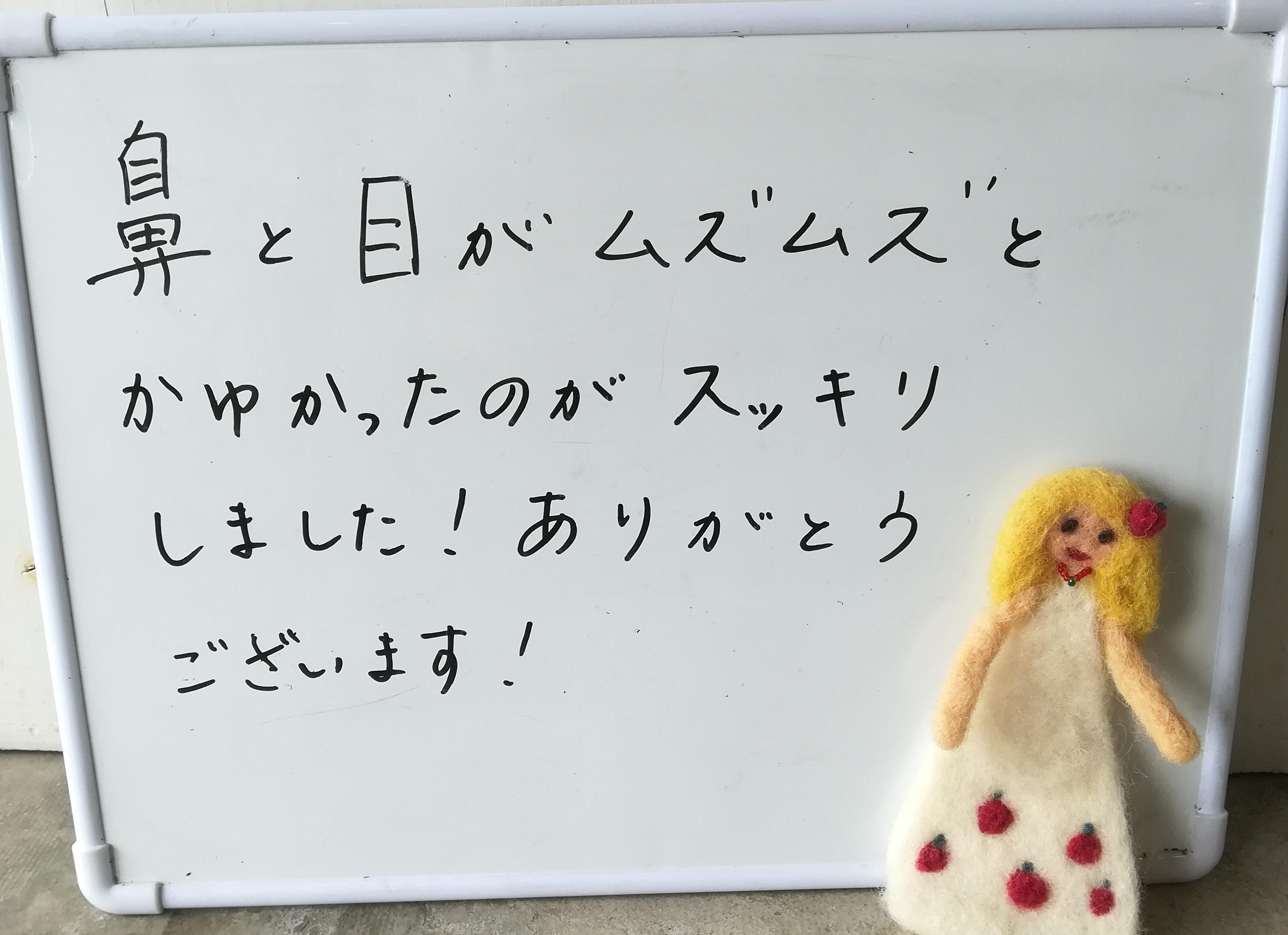 鍼灸花粉症の感想りんごの鍼灸