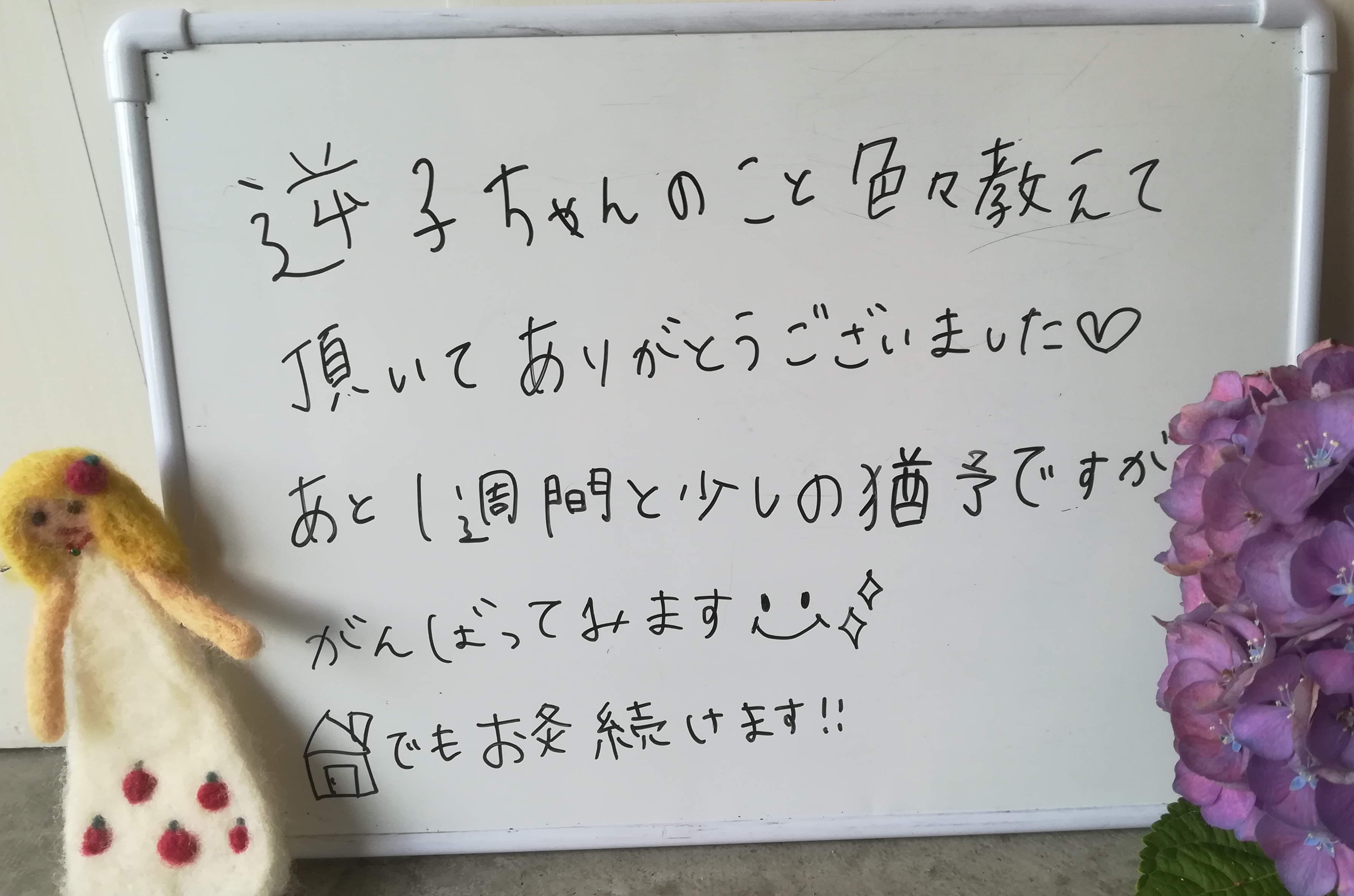 逆子妊婦の感想りんごの鍼灸