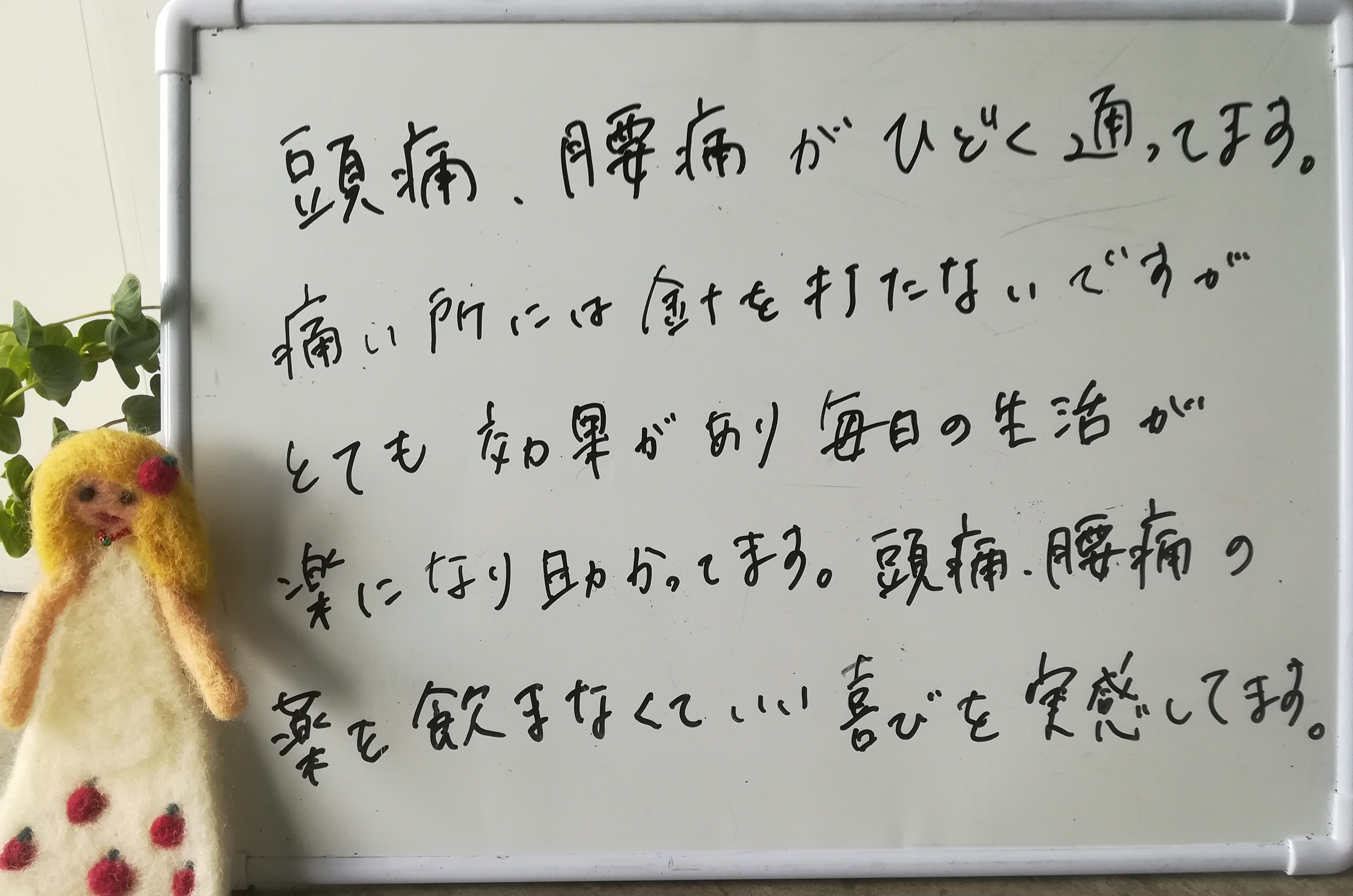 福岡鍼灸の感想りんごの鍼灸